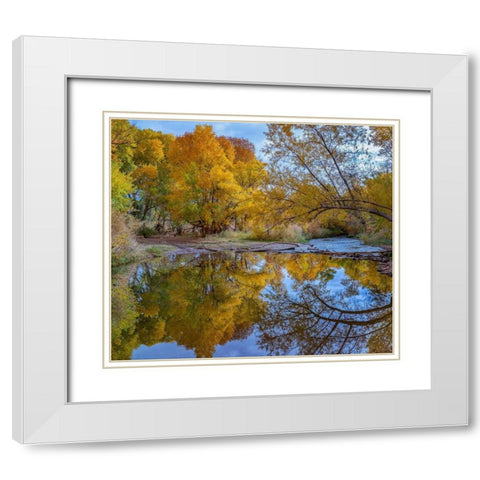 Verde River near Camp Verde-Arizona-USA White Modern Wood Framed Art Print with Double Matting by Fitzharris, Tim