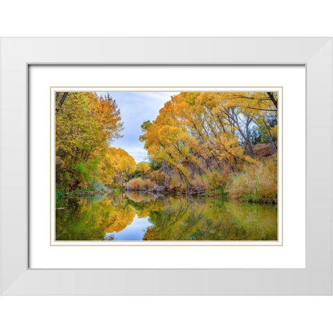 Verde River near Camp Verde-Arizona-USA White Modern Wood Framed Art Print with Double Matting by Fitzharris, Tim