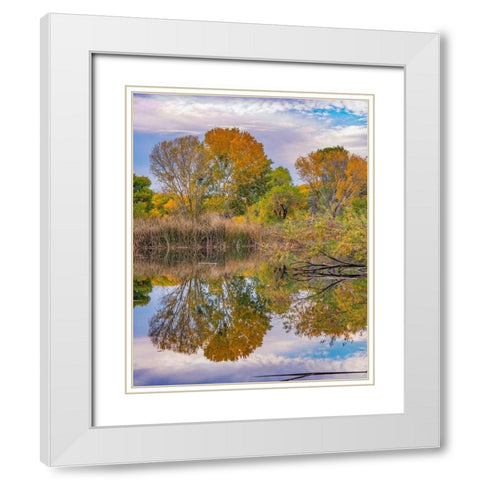 Verde River Valley-Lagoon at Dead Horse Ranch State Park-Arizona White Modern Wood Framed Art Print with Double Matting by Fitzharris, Tim