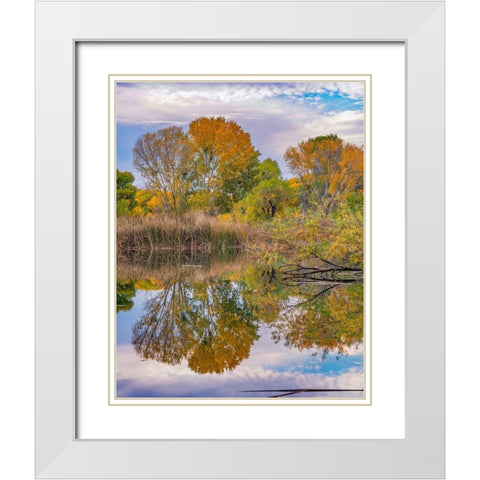 Verde River Valley-Lagoon at Dead Horse Ranch State Park-Arizona White Modern Wood Framed Art Print with Double Matting by Fitzharris, Tim