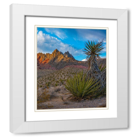 Red Rock Canyon National Conservation Area near Las Vegas-Nevada White Modern Wood Framed Art Print with Double Matting by Fitzharris, Tim