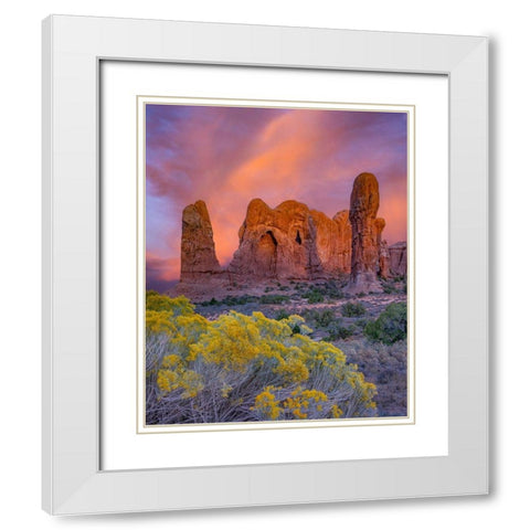 Parade of the Elephants sandstone formation-Arches National Park-Utah White Modern Wood Framed Art Print with Double Matting by Fitzharris, Tim