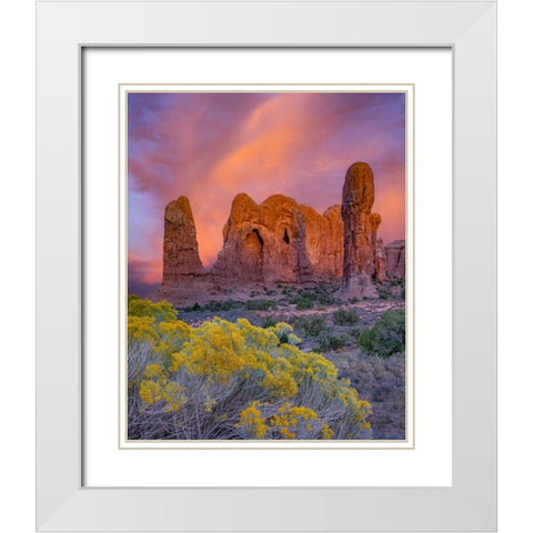 Parade of the Elephants sandstone formation-Arches National Park-Utah White Modern Wood Framed Art Print with Double Matting by Fitzharris, Tim