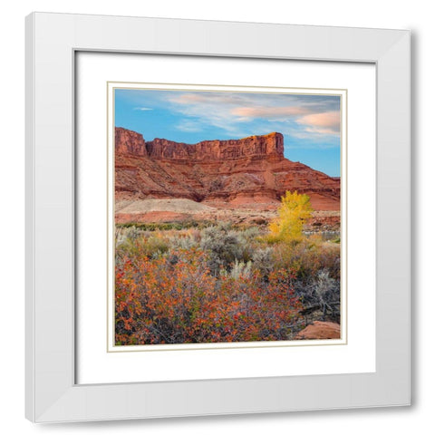 Porcupine Canyon on Colorado River near Castle Valley-Utah White Modern Wood Framed Art Print with Double Matting by Fitzharris, Tim