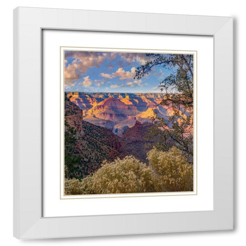 South Rim-Grand Canyon National Park-Arizona USA White Modern Wood Framed Art Print with Double Matting by Fitzharris, Tim