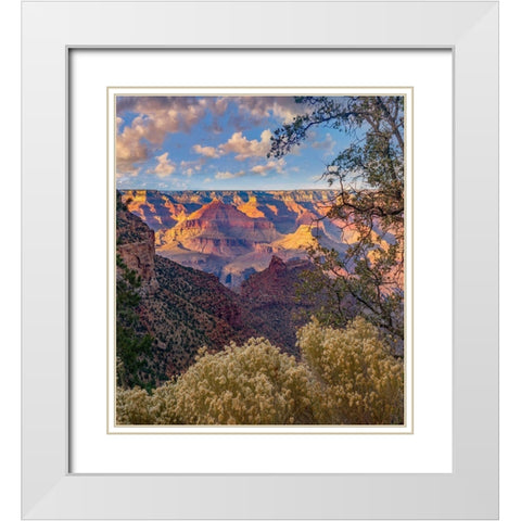 South Rim-Grand Canyon National Park-Arizona USA White Modern Wood Framed Art Print with Double Matting by Fitzharris, Tim