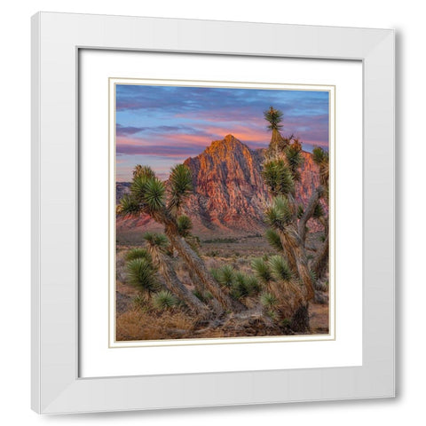 Red Rock Canyon National Conservation Area-Nevada-USA White Modern Wood Framed Art Print with Double Matting by Fitzharris, Tim