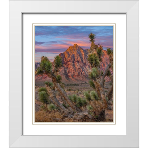 Red Rock Canyon National Conservation Area-Nevada-USA White Modern Wood Framed Art Print with Double Matting by Fitzharris, Tim