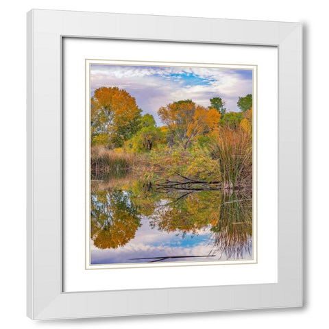 Dead Horse Ranch State Park-Arizona-USA White Modern Wood Framed Art Print with Double Matting by Fitzharris, Tim