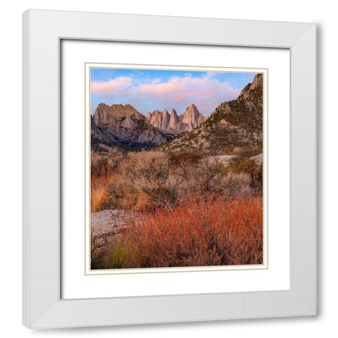 Mount Whitney-Eastern Sierra Nevada-California-USA White Modern Wood Framed Art Print with Double Matting by Fitzharris, Tim