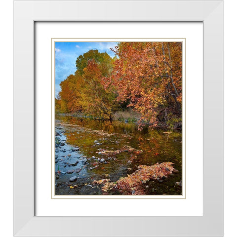 East Verde River-Arizona-USA White Modern Wood Framed Art Print with Double Matting by Fitzharris, Tim