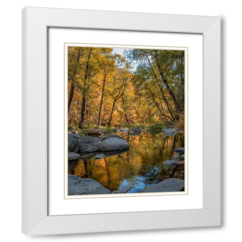 Oak Creek near Sedona-Arizona-USA White Modern Wood Framed Art Print with Double Matting by Fitzharris, Tim