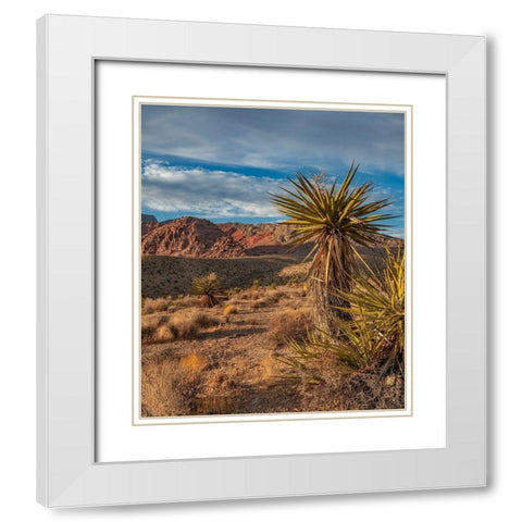 Red Rock Canyon National Conservation Area near Las Vegas-Nevada White Modern Wood Framed Art Print with Double Matting by Fitzharris, Tim