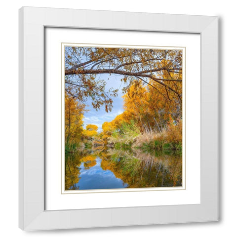 Dead Horse Ranch State Park-Arizona-USA White Modern Wood Framed Art Print with Double Matting by Fitzharris, Tim