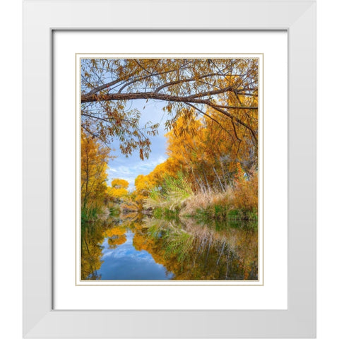 Dead Horse Ranch State Park-Arizona-USA White Modern Wood Framed Art Print with Double Matting by Fitzharris, Tim