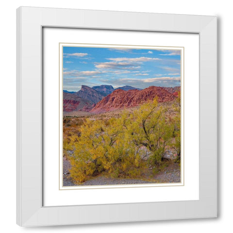 Calico Hills-Red Rock Canyon National Conservation Area-Nevada White Modern Wood Framed Art Print with Double Matting by Fitzharris, Tim