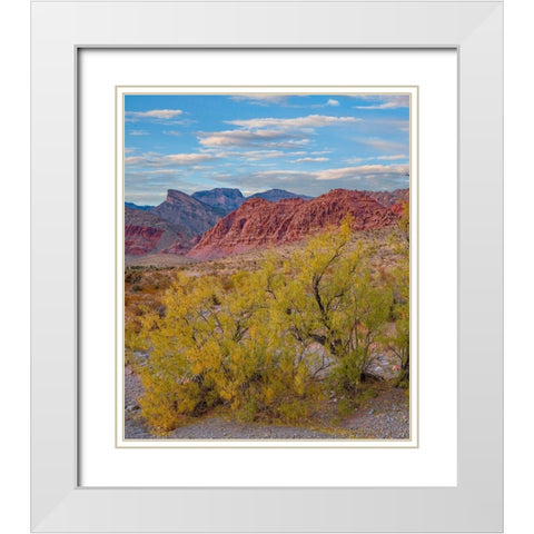 Calico Hills-Red Rock Canyon National Conservation Area-Nevada White Modern Wood Framed Art Print with Double Matting by Fitzharris, Tim