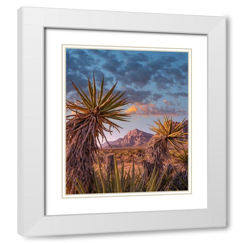 Red Rock Canyon National Conservation Area near Las Vegas-Nevada White Modern Wood Framed Art Print with Double Matting by Fitzharris, Tim