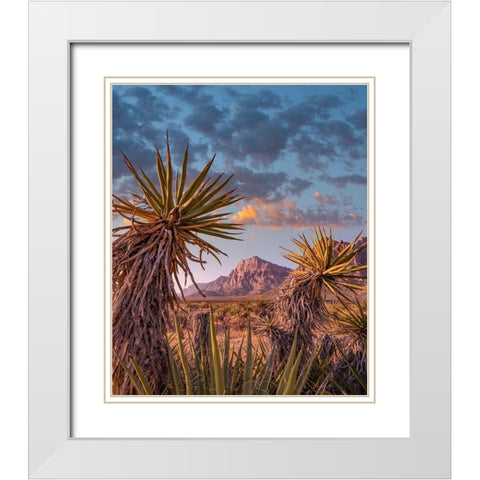 Red Rock Canyon National Conservation Area near Las Vegas-Nevada White Modern Wood Framed Art Print with Double Matting by Fitzharris, Tim