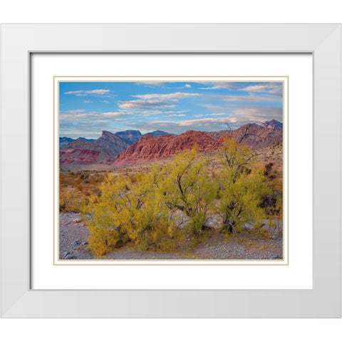 Spring Mountains-Red Rock Canyon National Conservation Area-Nevada White Modern Wood Framed Art Print with Double Matting by Fitzharris, Tim