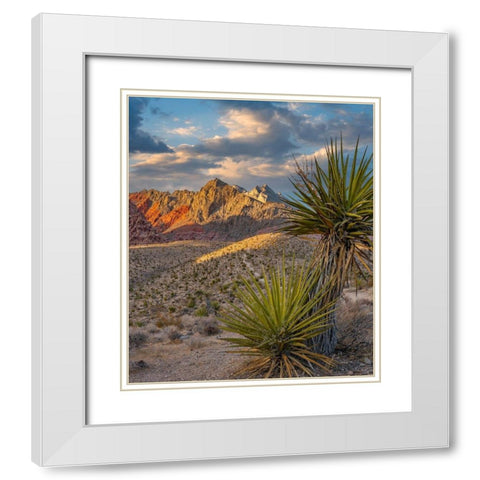 Red Rock Canyon National Conservation Area near Las Vegas-Nevada White Modern Wood Framed Art Print with Double Matting by Fitzharris, Tim