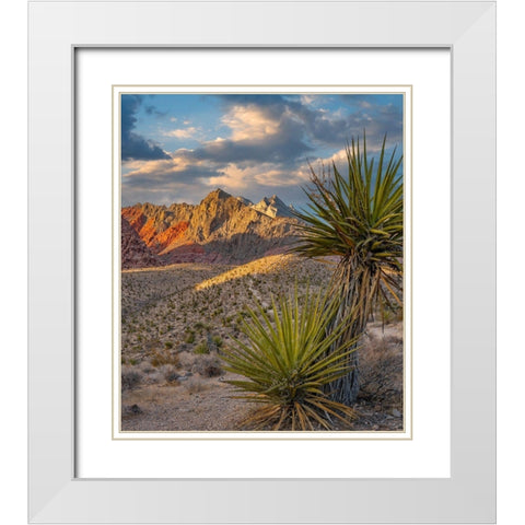 Red Rock Canyon National Conservation Area near Las Vegas-Nevada White Modern Wood Framed Art Print with Double Matting by Fitzharris, Tim