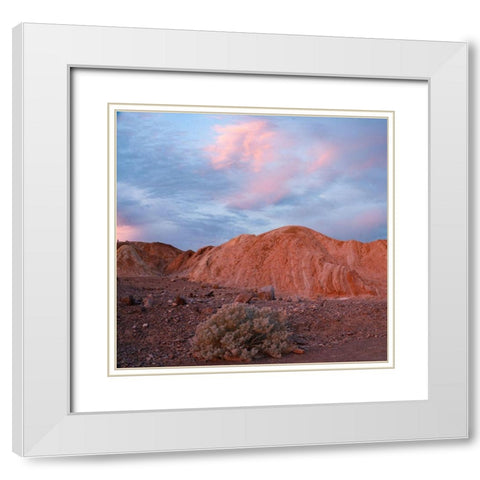 Death Valley White Modern Wood Framed Art Print with Double Matting by Fitzharris, Tim