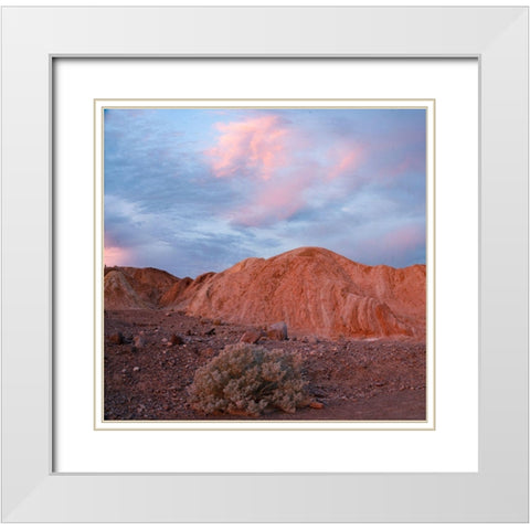 Death Valley White Modern Wood Framed Art Print with Double Matting by Fitzharris, Tim