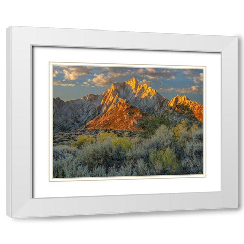 Lone Pine Peak from Tuttle Creek-Sierra Nevada-California-USA  White Modern Wood Framed Art Print with Double Matting by Fitzharris, Tim