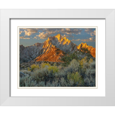 Lone Pine Peak from Tuttle Creek-Sierra Nevada-California-USA  White Modern Wood Framed Art Print with Double Matting by Fitzharris, Tim