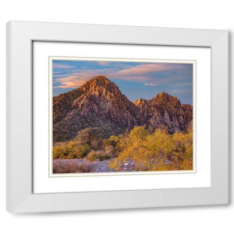 Willows and Wash-Red Rock Canyon-Nevada White Modern Wood Framed Art Print with Double Matting by Fitzharris, Tim