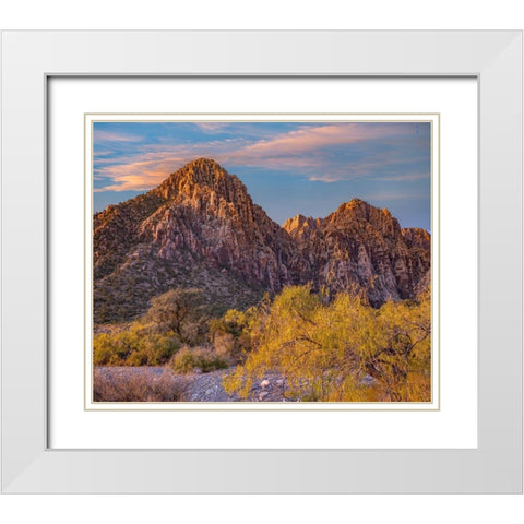 Willows and Wash-Red Rock Canyon-Nevada White Modern Wood Framed Art Print with Double Matting by Fitzharris, Tim