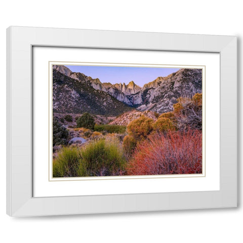 Mount Whitney-Sequoia National Park Inyo-National Forest-California White Modern Wood Framed Art Print with Double Matting by Fitzharris, Tim