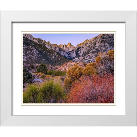 Mount Whitney-Sequoia National Park Inyo-National Forest-California White Modern Wood Framed Art Print with Double Matting by Fitzharris, Tim