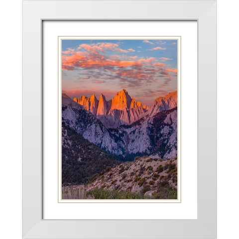 Mount Whitney-Sequoia National Park Inyo-National Forest-California White Modern Wood Framed Art Print with Double Matting by Fitzharris, Tim