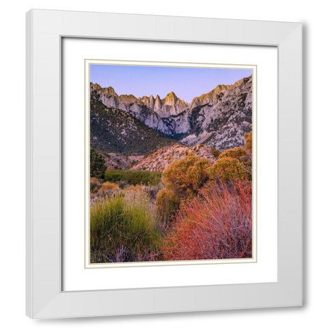 Mount Whitney-Sequoia National Park Inyo-National Forest-California White Modern Wood Framed Art Print with Double Matting by Fitzharris, Tim