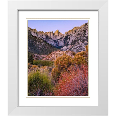 Mount Whitney-Sequoia National Park Inyo-National Forest-California White Modern Wood Framed Art Print with Double Matting by Fitzharris, Tim