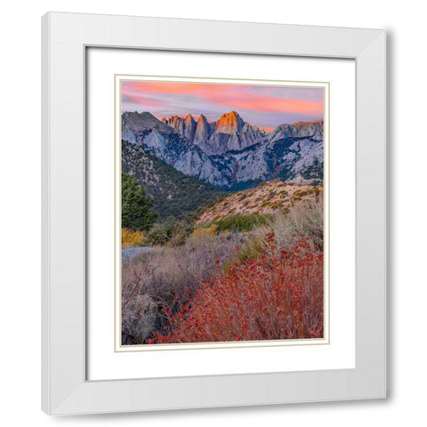 Mount Whitney-Sequoia National Park Inyo-National Forest-California White Modern Wood Framed Art Print with Double Matting by Fitzharris, Tim