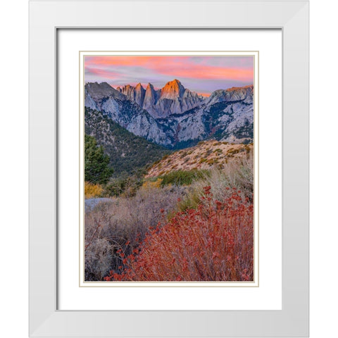 Mount Whitney-Sequoia National Park Inyo-National Forest-California White Modern Wood Framed Art Print with Double Matting by Fitzharris, Tim