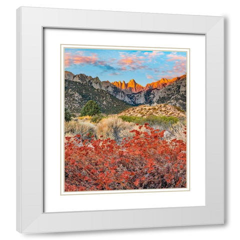 Mount Whitney-Sequoia National Park Inyo-National Forest-California White Modern Wood Framed Art Print with Double Matting by Fitzharris, Tim