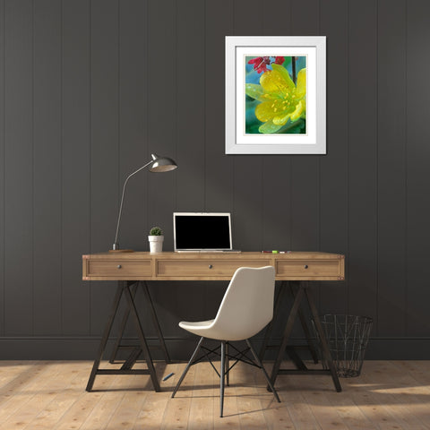 Yellow Columbine and Coral Bells White Modern Wood Framed Art Print with Double Matting by Fitzharris, Tim