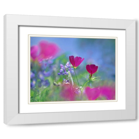 Wine cups and Texas Bluebonnets White Modern Wood Framed Art Print with Double Matting by Fitzharris, Tim