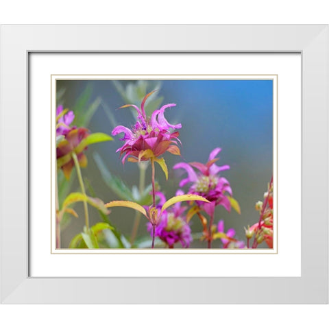 Lemon Mint Wildflowers White Modern Wood Framed Art Print with Double Matting by Fitzharris, Tim