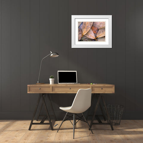 Frozen Willow Leaves White Modern Wood Framed Art Print with Double Matting by Fitzharris, Tim