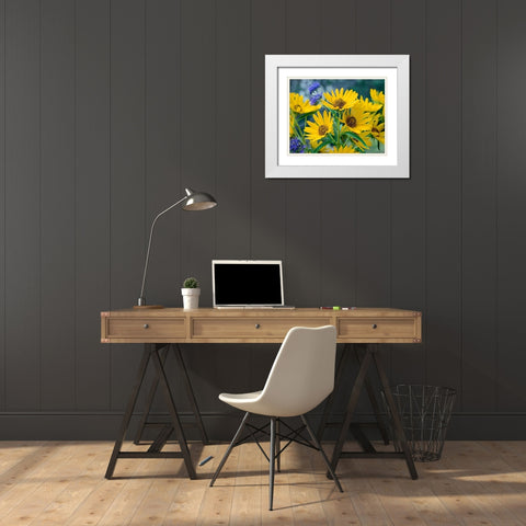 Maximillian Sunflowers White Modern Wood Framed Art Print with Double Matting by Fitzharris, Tim