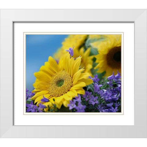 Sunflowers and Campanula White Modern Wood Framed Art Print with Double Matting by Fitzharris, Tim