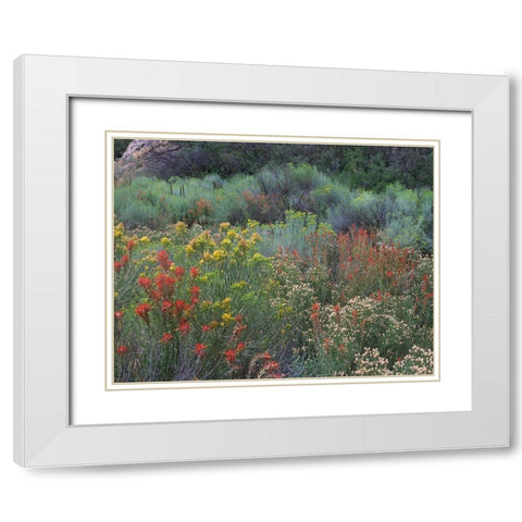 Indian Paintbrushes and Chamisas White Modern Wood Framed Art Print with Double Matting by Fitzharris, Tim