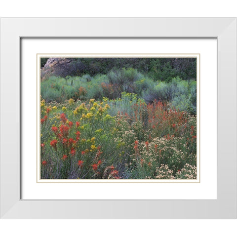 Indian Paintbrushes and Chamisas White Modern Wood Framed Art Print with Double Matting by Fitzharris, Tim