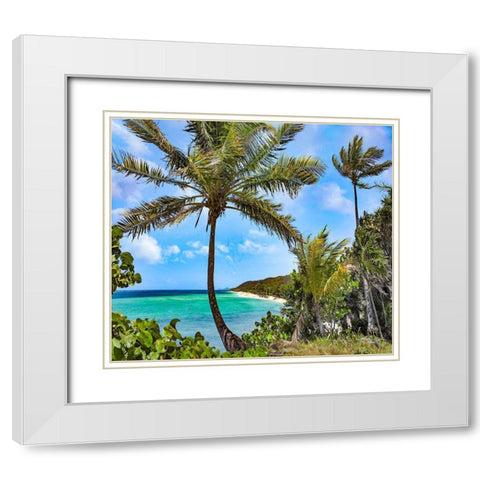 Coconut Trees and Camp Bay in Distance White Modern Wood Framed Art Print with Double Matting by Fitzharris, Tim