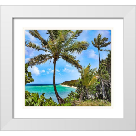 Coconut Trees and Camp Bay in Distance White Modern Wood Framed Art Print with Double Matting by Fitzharris, Tim